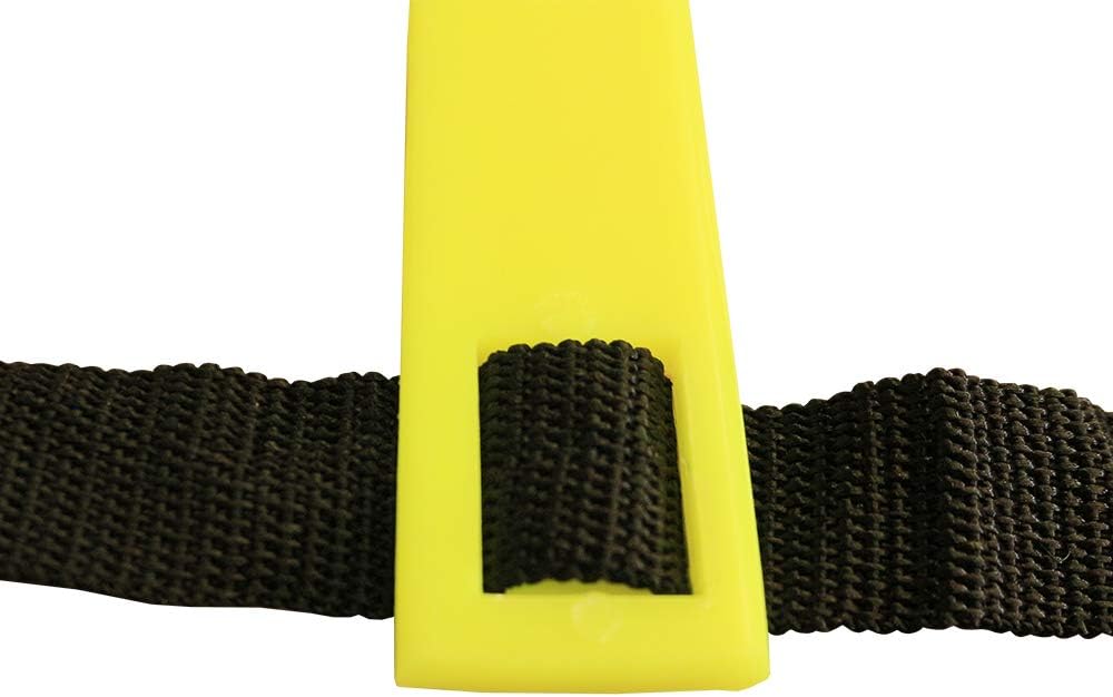AP Footwork Ladder